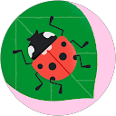 Adrien G. profile picture